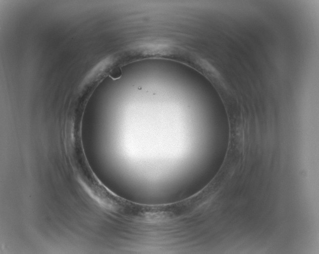 X0000083000686200702011455