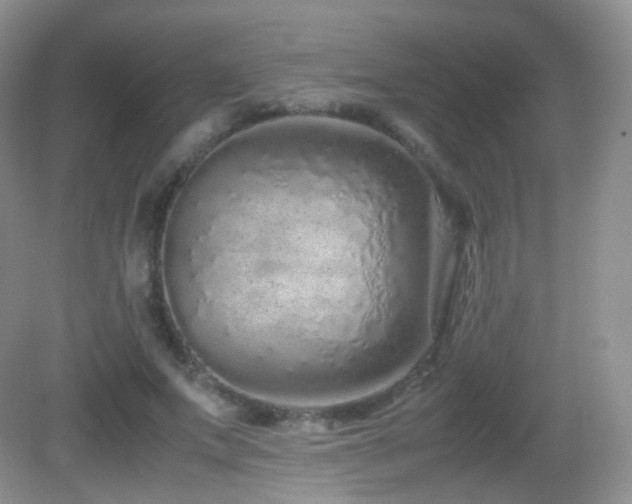 X0000083000687200702011455