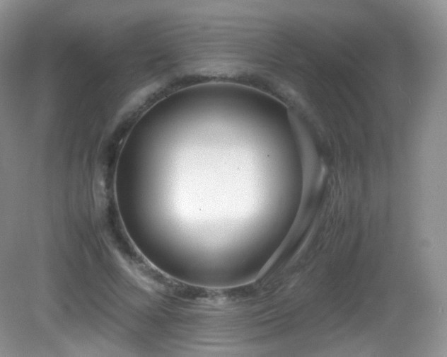 X0000083000688200702011455