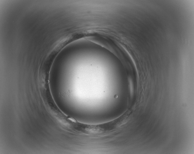 X0000083000693200702011455