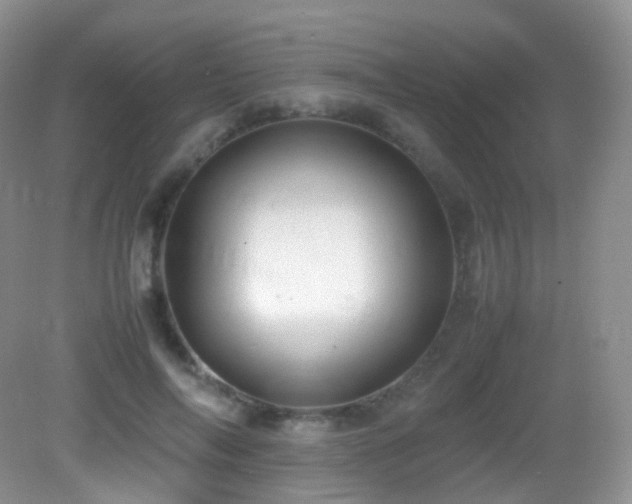 X0000083000694200702011455