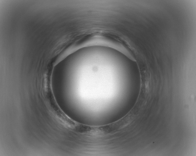 X0000083000696200702011455