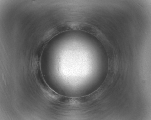 X0000083000702200702011455