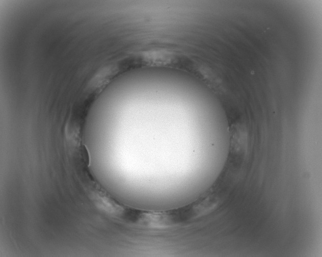 X0000083000713200702011455