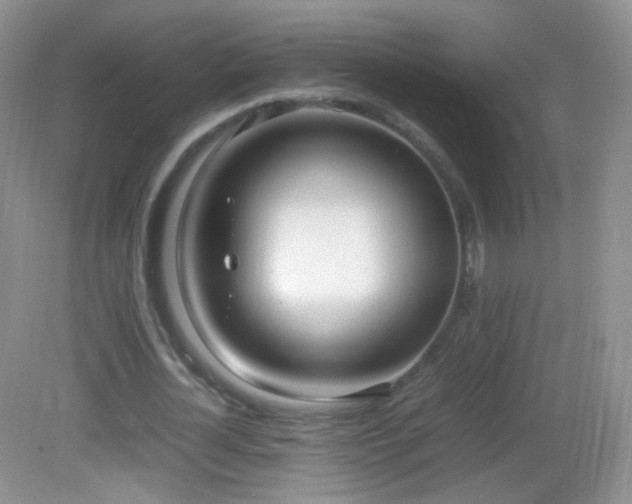 X0000083000724200702011454