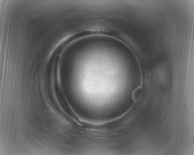 X0000083000727200702011454