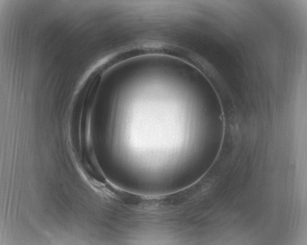 X0000083000728200702011454