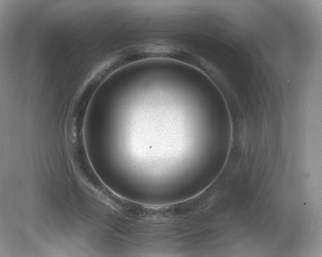 X0000083000731200702011454