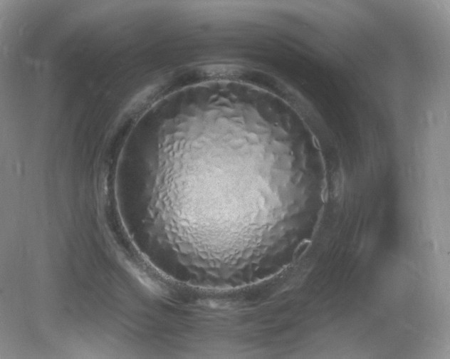 X0000083000733200702011454