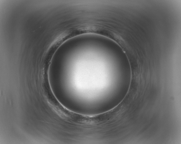 X0000083000735200702011454