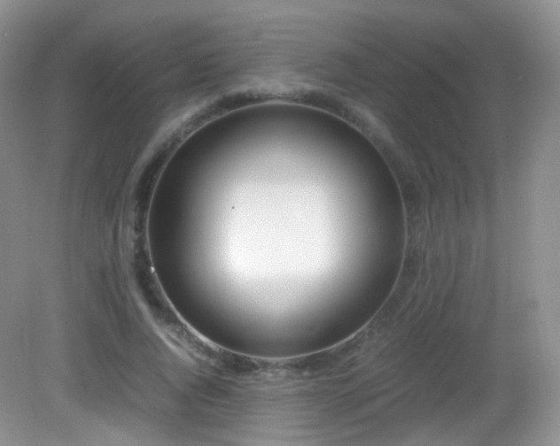 X0000083000736200702011454