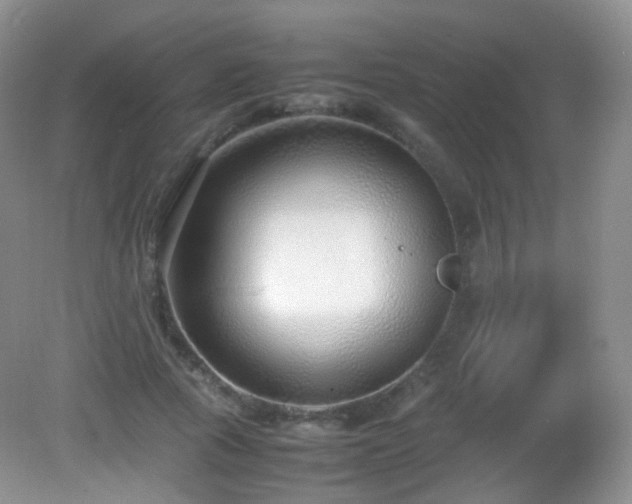 X0000083000737200702011454