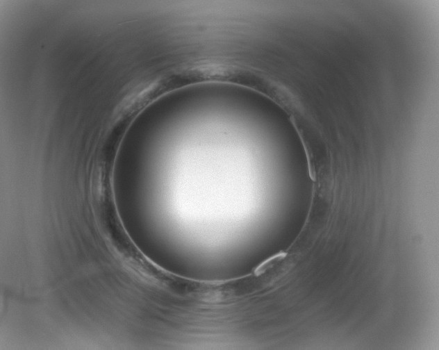 X0000083000740200702011454