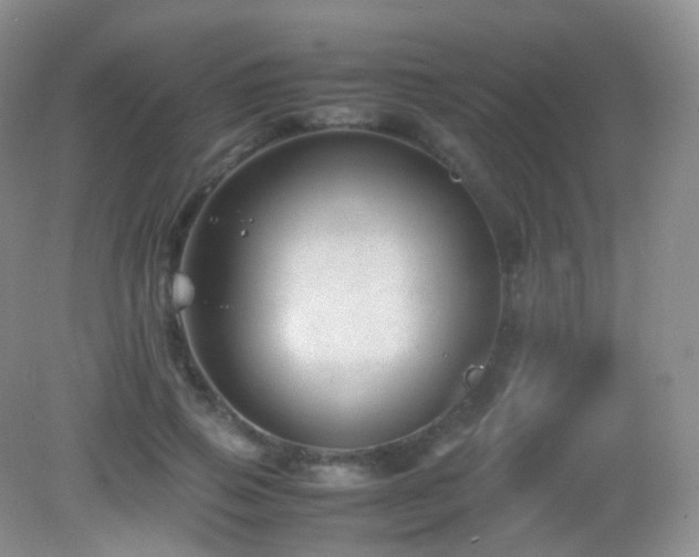 X0000083000741200702011454