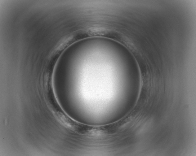 X0000083000742200702011454