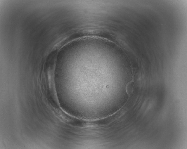X0000083000746200702011454