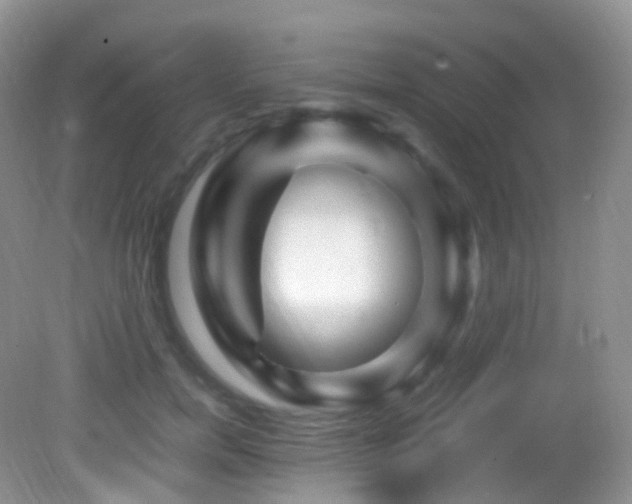 X0000083000750200702011454