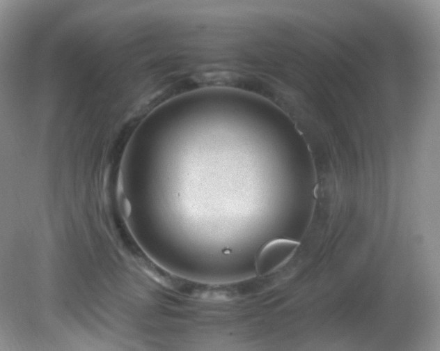X0000083000751200702011454
