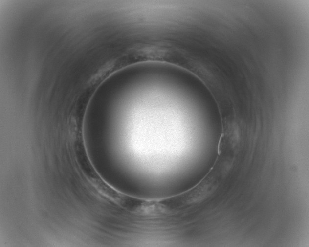 X0000083000752200702011454
