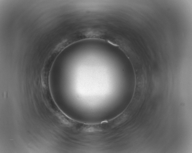 X0000083000755200702011454