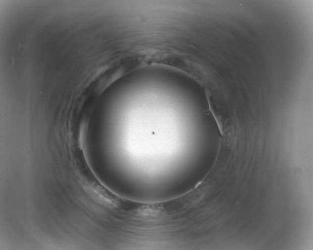 X0000083000756200702011454