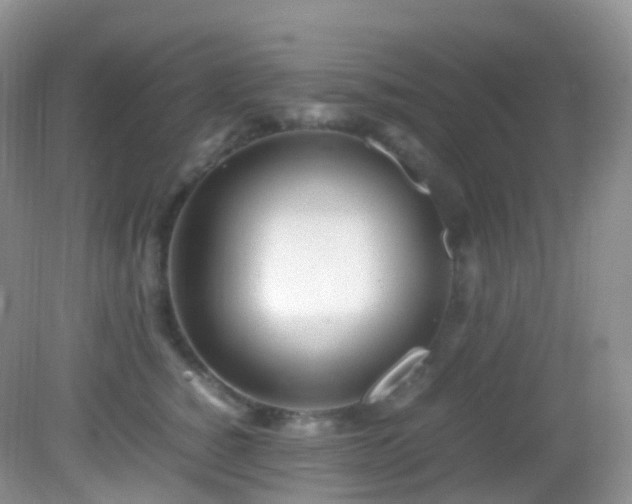 X0000083000760200702011454