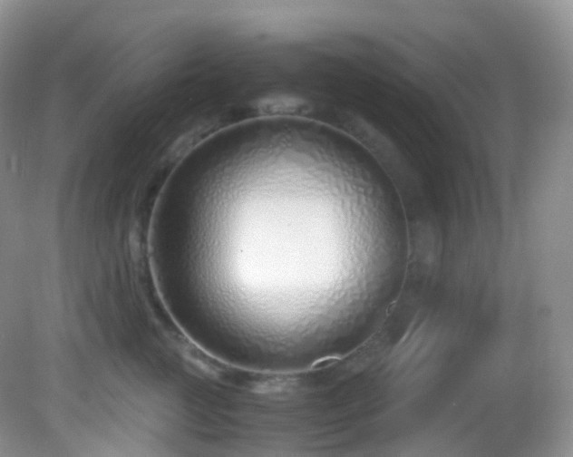 X0000083000761200702011454
