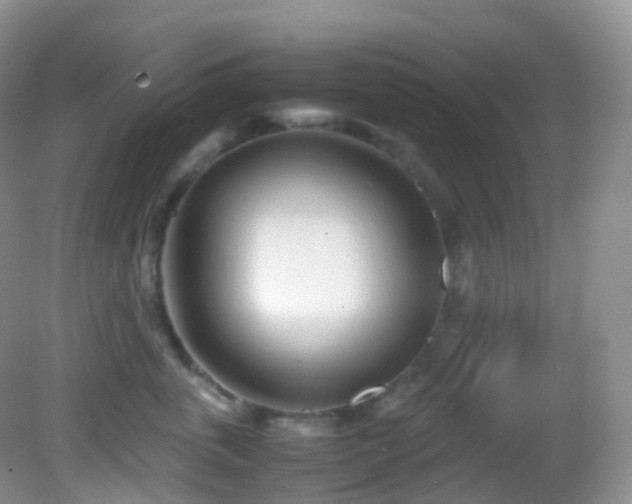 X0000083000763200702011454