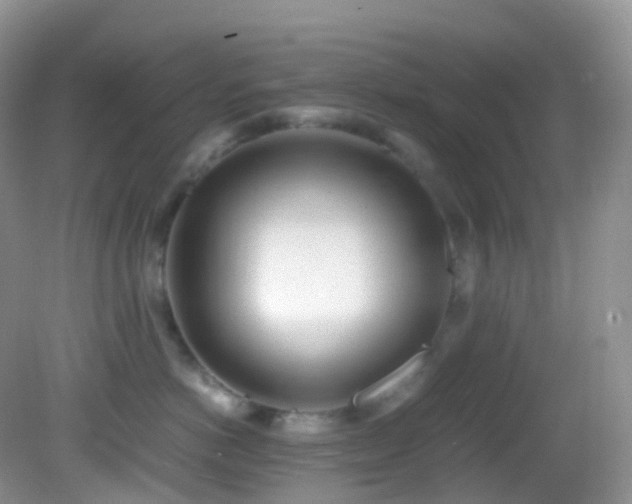 X0000083000766200702011455