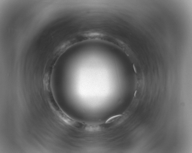 X0000083000767200702011455