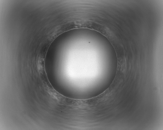X0000083000770200702011454