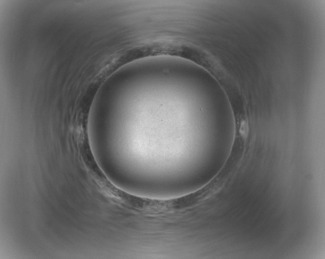 X0000083000771200702011454