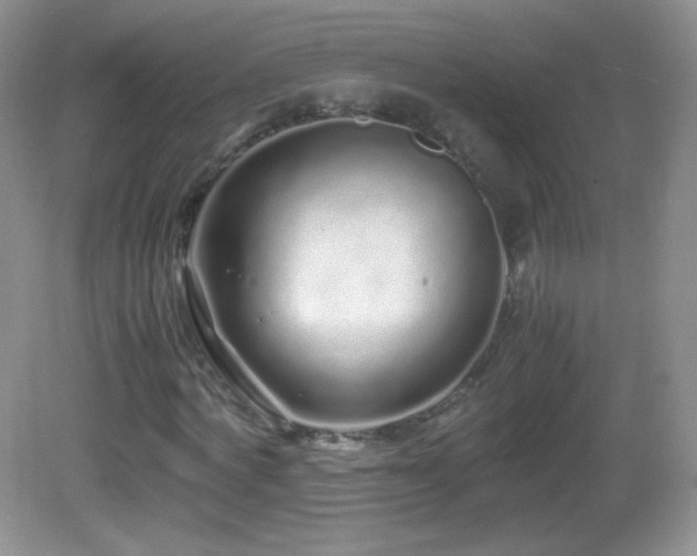 X0000083000772200702011454