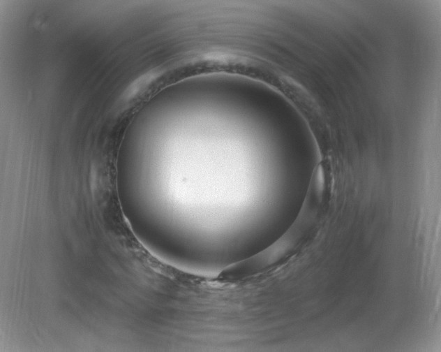 X0000083000776200702011454