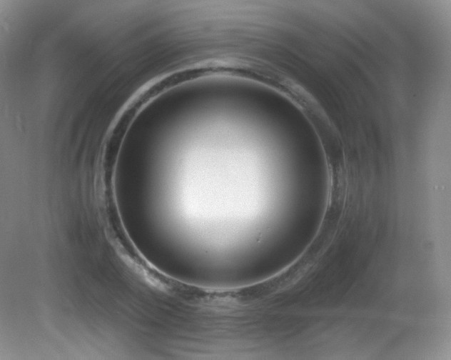 X0000083000784200702011453
