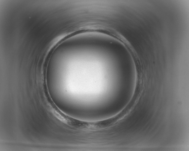 X0000083000787200702011453