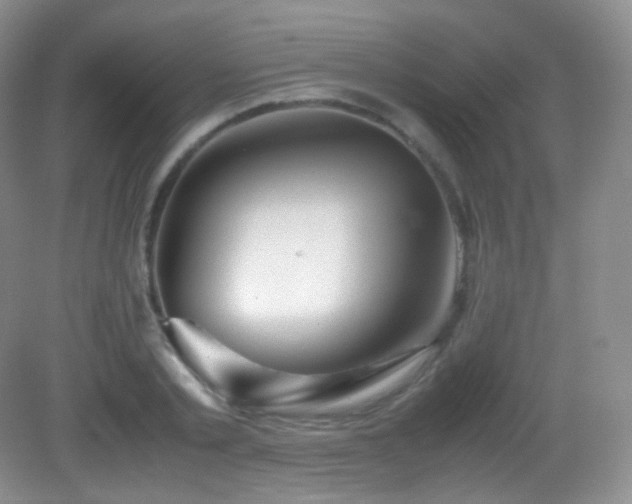 X0000083000789200702011453