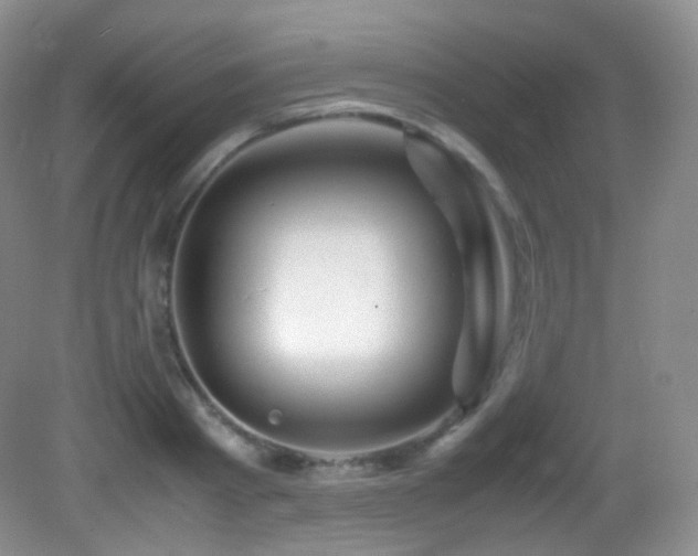 X0000083000793200702011453