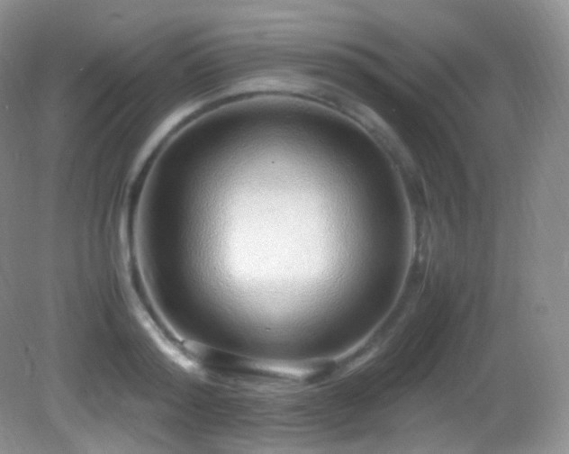 X0000083000796200702011453