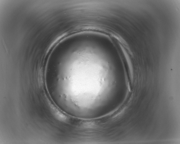X0000083000798200702011453