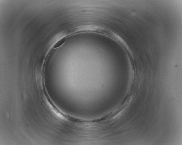 X0000083000802200702011453