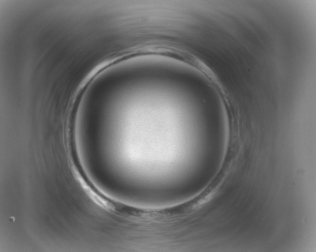 X0000083000803200702011453