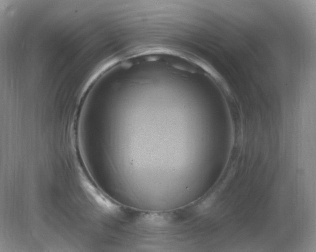 X0000083000806200702011453