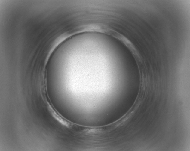 X0000083000808200702011453