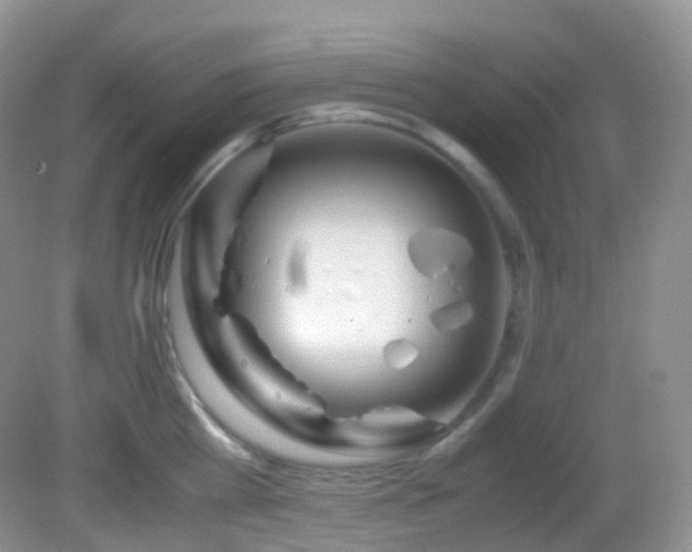 X0000083000809200702011453