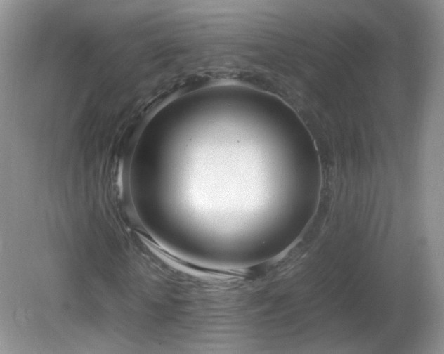 X0000083000818200702011452