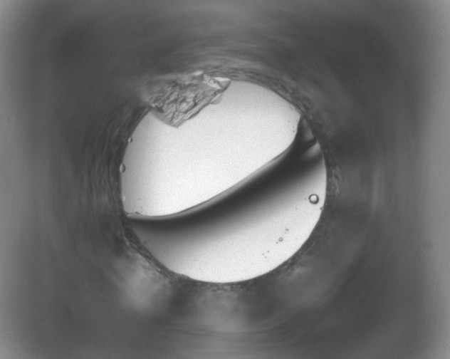 X0000083000820200702011452