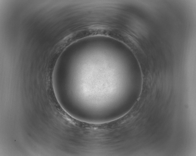 X0000083000821200702011452