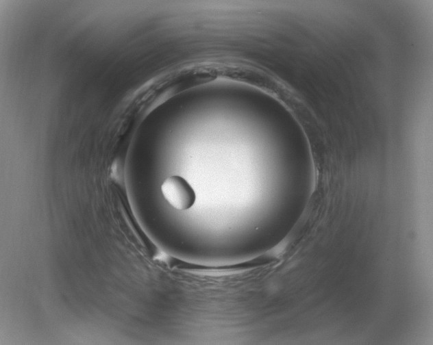 X0000083000822200702011452
