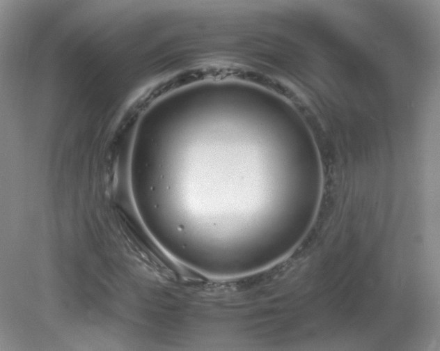 X0000083000823200702011452